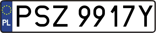 PSZ9917Y