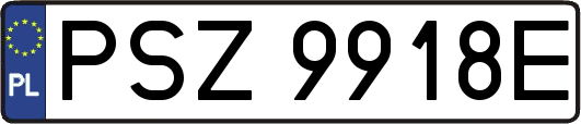 PSZ9918E