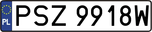 PSZ9918W