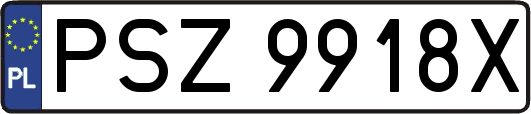 PSZ9918X