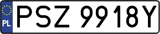 PSZ9918Y