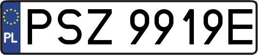 PSZ9919E
