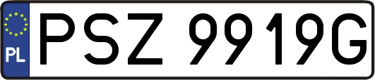 PSZ9919G