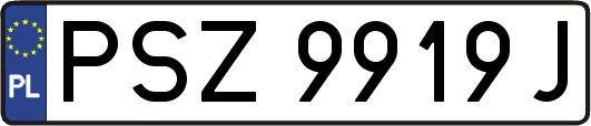 PSZ9919J