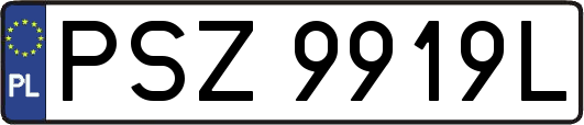PSZ9919L