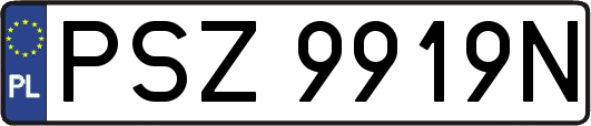 PSZ9919N