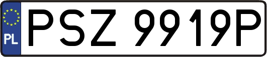 PSZ9919P
