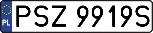 PSZ9919S
