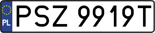 PSZ9919T