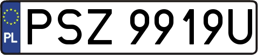 PSZ9919U