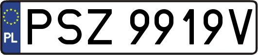 PSZ9919V