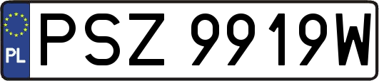 PSZ9919W