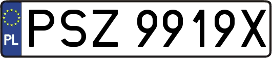 PSZ9919X
