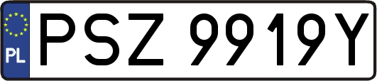 PSZ9919Y