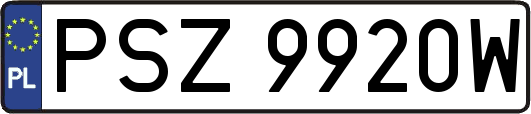 PSZ9920W