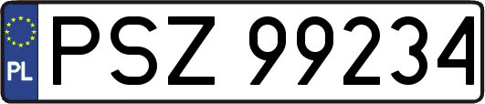 PSZ99234