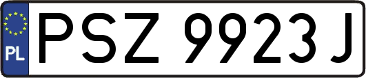 PSZ9923J