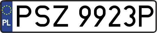 PSZ9923P
