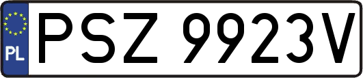 PSZ9923V