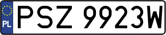 PSZ9923W