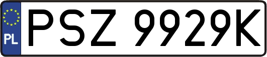 PSZ9929K