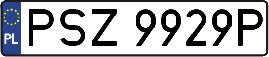 PSZ9929P
