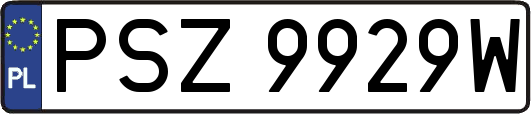 PSZ9929W