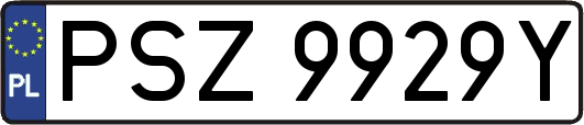 PSZ9929Y