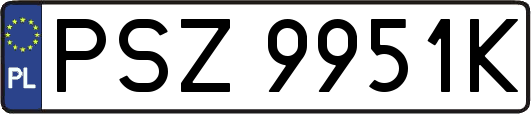 PSZ9951K