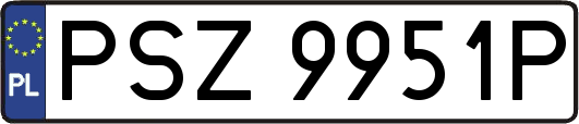 PSZ9951P