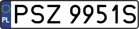 PSZ9951S