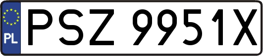 PSZ9951X