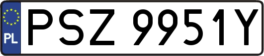 PSZ9951Y