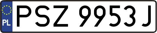 PSZ9953J
