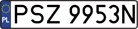 PSZ9953N