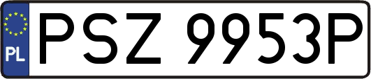 PSZ9953P