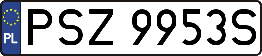PSZ9953S