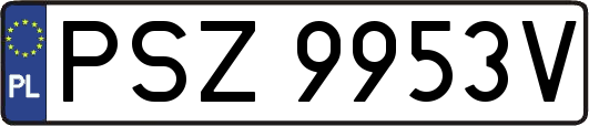 PSZ9953V