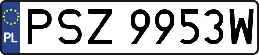 PSZ9953W