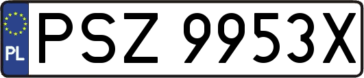 PSZ9953X