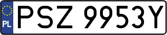 PSZ9953Y
