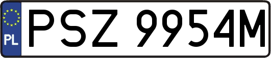 PSZ9954M