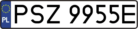 PSZ9955E