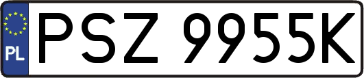 PSZ9955K