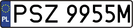 PSZ9955M