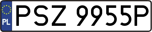 PSZ9955P