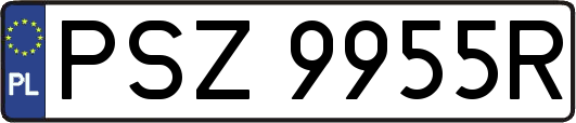 PSZ9955R