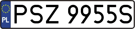 PSZ9955S