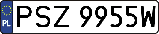 PSZ9955W