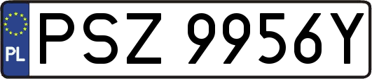 PSZ9956Y